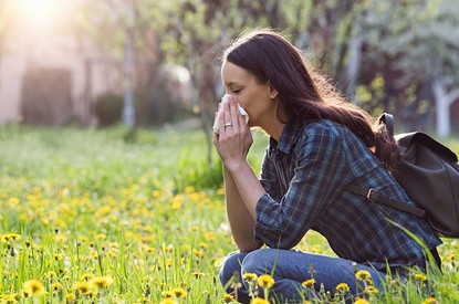 Как жить с поллинозом: календарь цветения и полезные привычки при аллергии на пыльцу