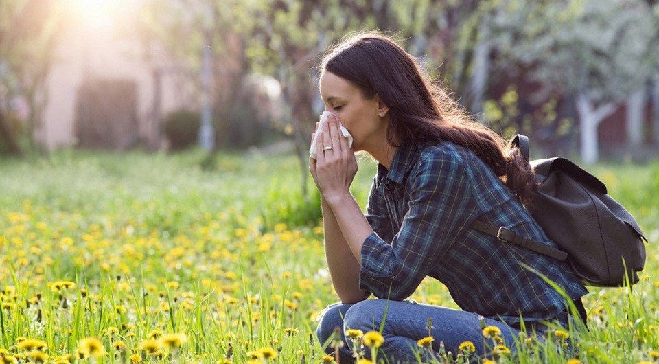 Как жить с поллинозом: календарь цветения и полезные привычки при аллергии на пыльцу