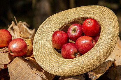 Фрукты против БАДов: нужно ли летом пить витамины или достаточно сезонной еды