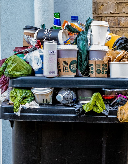 «Ем „просрочку“ и мне норм»: кто такие фриганы и почему им нравится есть еду из мусорки