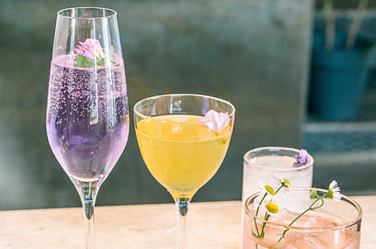 Кровавая Мэри и не только: 10 самых полезных алкогольных напитков