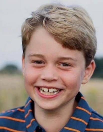 Принц Джордж продает кондитерские изделия, чтобы собрать деньги на защиту животных