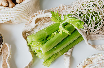 Сельдерей: польза и вред для организма