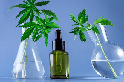 18 ингредиентов, которые мы не ожидали увидеть в бьюти-средствах