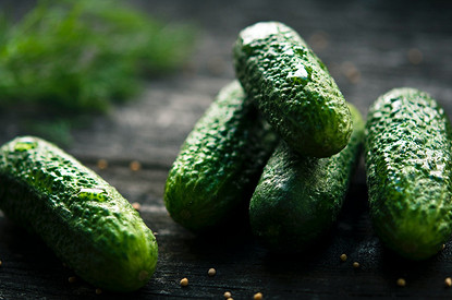 Молодой и горький: почему горчат огурцы и как исправить ситуацию