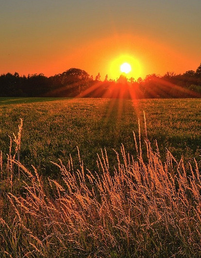 Что принесет нам летнее солнцестояние: гороскоп для всех знаков зодиака с 20 по 26 июня