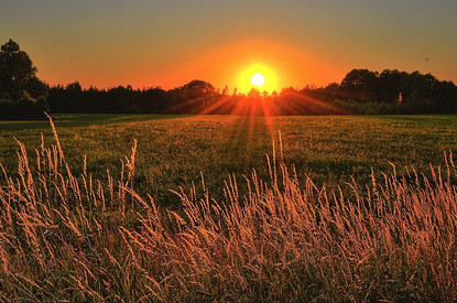 Что принесет нам летнее солнцестояние: гороскоп для всех знаков зодиака с 20 по 26 июня