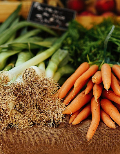 Все пропало: 8 ошибок в хранении свежего урожая