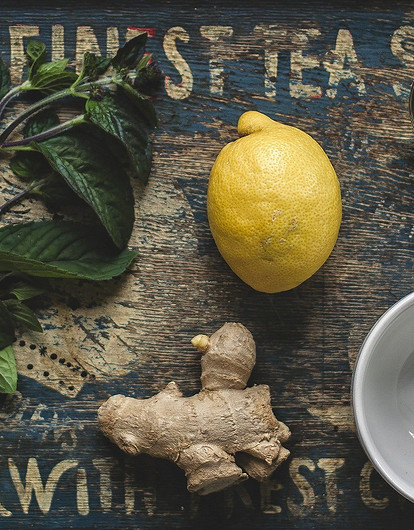 Мята от диареи, эхинацея от простуды: 5 самых полезных трав для чая