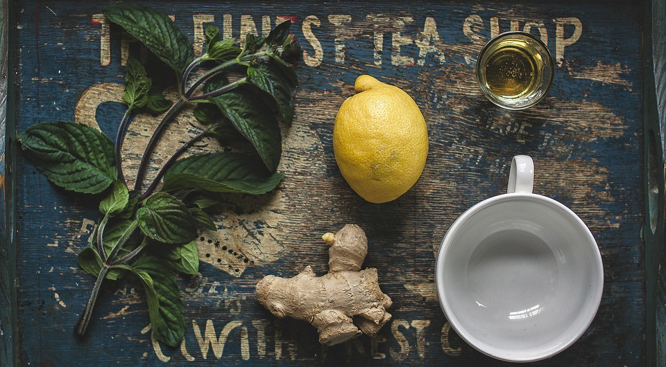 Мята от диареи, эхинацея от простуды: 5 самых полезных трав для чая