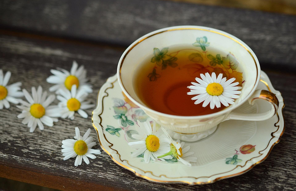 Мята от диареи, эхинацея от простуды: 5 самых полезных трав для чая