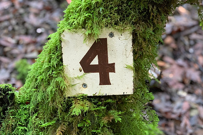 Значение числа 4 в нумерологии: каким характером обладают «люди-четверки»