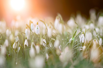 Печка, лед и еще 5 способов, которыми боролись с жарой до изобретения кондиционеров (актуально и сегодня)