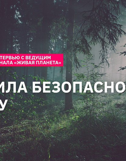 Правила безопасности в лесу