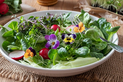 И в вазу, и в тарелку: 8 съедобных цветов, которые растут в твоем огороде