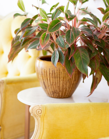 Почувствуй себя как дома: 7 советов, как стильно обустроить съемную квартиру