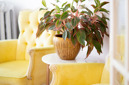 Почувствуй себя как дома: 7 советов, как стильно обустроить съемную квартиру