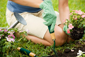 Как работать в огороде в жару: 10 рекомендаций от врача