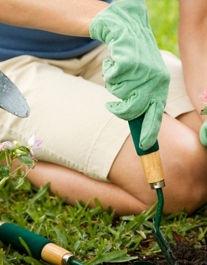 Как работать в огороде в жару: 10 рекомендаций от врача