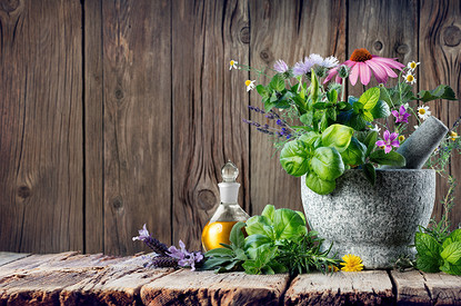 Чистотел от язвы желудка, яблочный уксус против лишнего веса: развенчиваем эти и другие мифы народной медицины