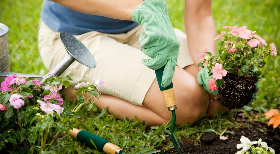 Как работать в огороде в жару: 10 рекомендаций от врача