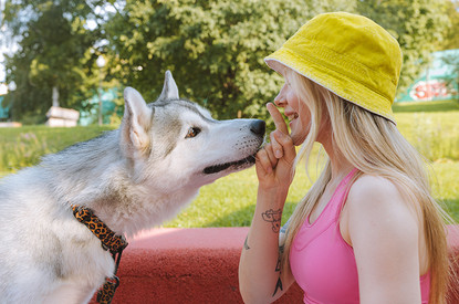 Кто там тявкает?: 12 запретов, которые нужно знать владельцам домашних животных