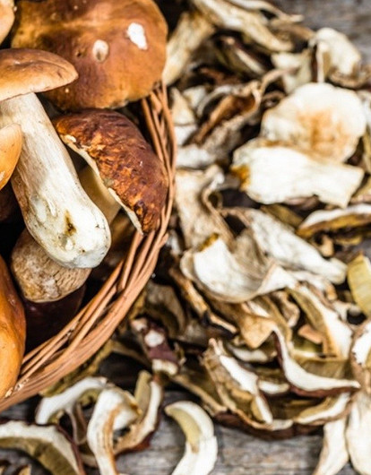 В духовке, на нитке и еще 4 способа сушить белые грибы