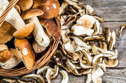 В духовке, на нитке и еще 4 способа сушить белые грибы