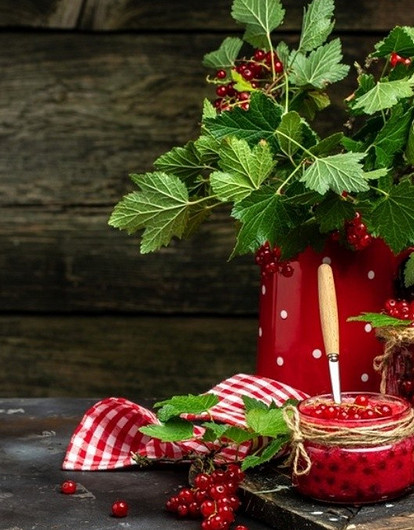 Красная, черная, белая: вино, варенье и еще 5 консерваций из смородины