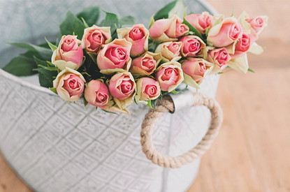 Как посадить и вырастить розу из букета в домашних условиях (видео)