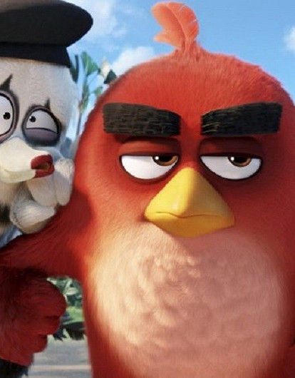 Angry birds: главные ошибки сов и жаворонков, которые лишают энергии на весь день