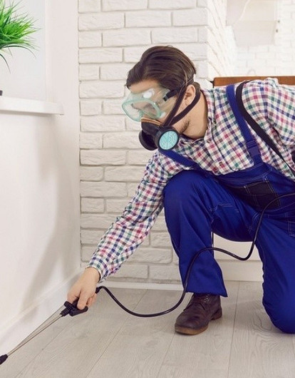 Как избавиться от муравьев в квартире: 15 эффективных средств