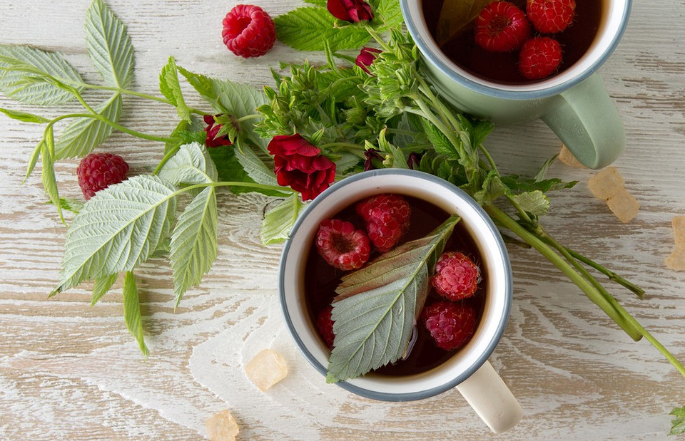 Чай из листьев малины: в чем польза и как приготовить
