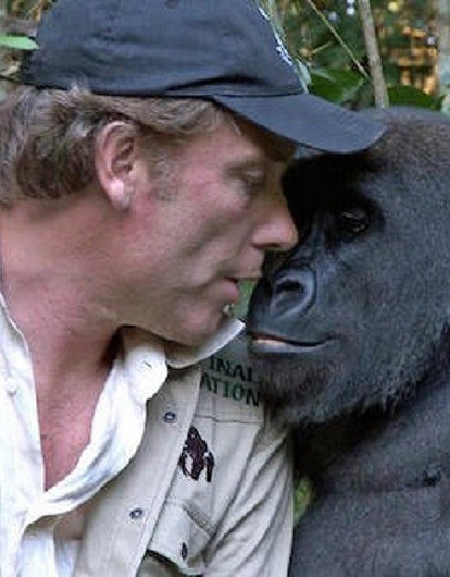 Нашли друг друга: невероятные истории дружбы людей и животных (видео)