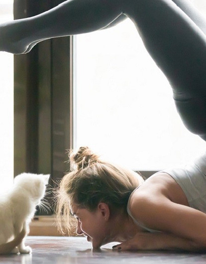 Попробуй повтори: 7 самых сложных асан йоги (названия тоже тебя удивят)