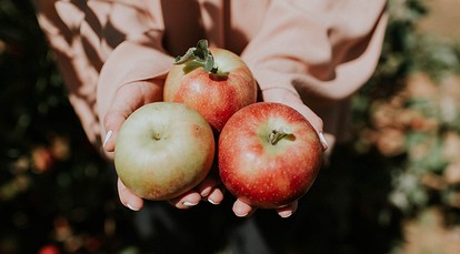 Яблоки запечённые — белки, жиры, углеводы (БЖУ)