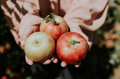 Почему печеные яблоки полезнее свежих (а кому их есть нельзя)