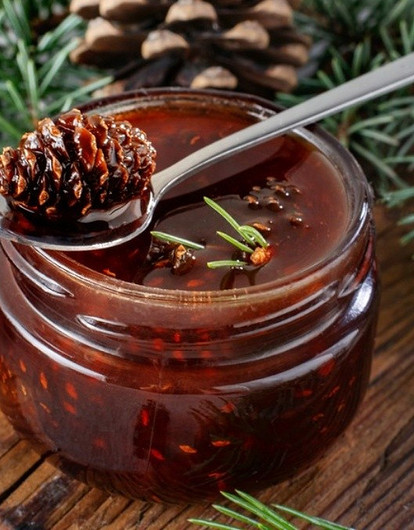 6 рецептов полезного и вкусного варенья из сосновых шишек