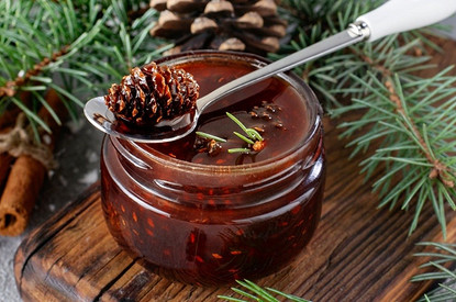 6 рецептов полезного и вкусного варенья из сосновых шишек