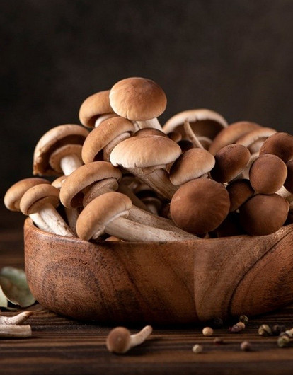 От пирога до грибной икры: 9 вариантов, как вкусно приготовить опята