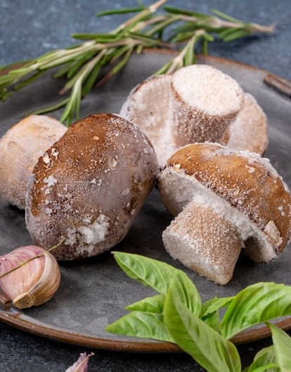 Как правильно заморозить свежие, вареные и жареные грибы на зиму: пошаговая инструкция