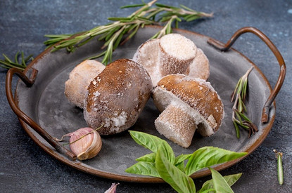 Как правильно заморозить свежие, вареные и жареные грибы на зиму: пошаговая инструкция