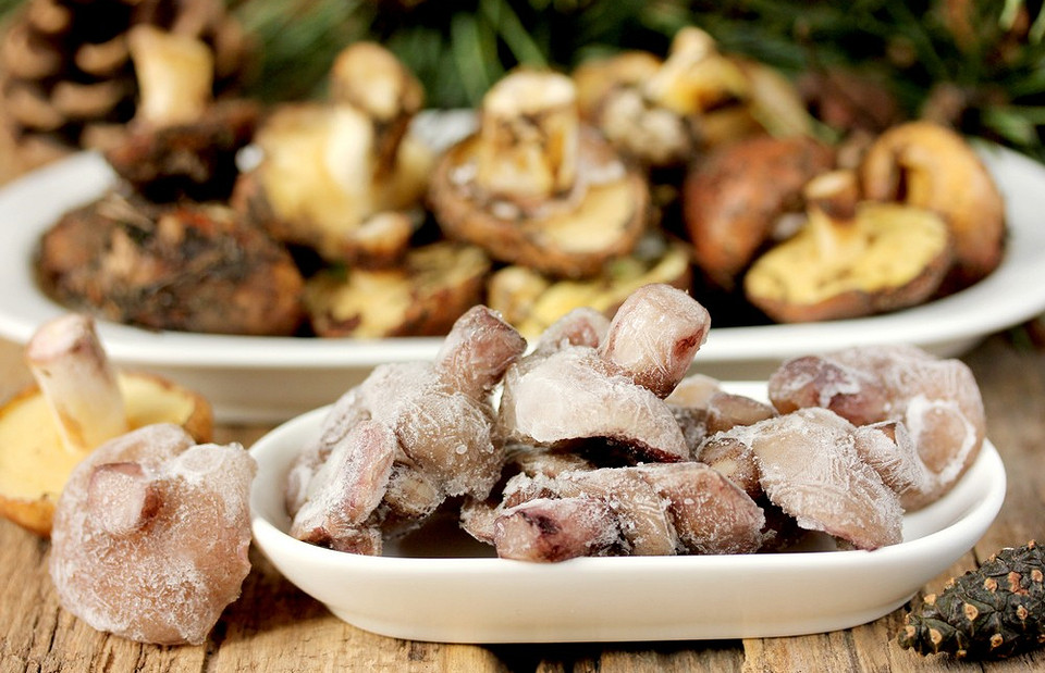 Как правильно заморозить свежие, вареные и жареные грибы на зиму: пошаговая инструкция