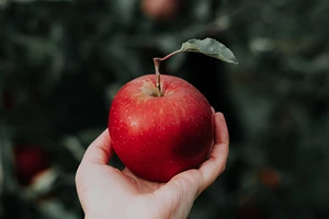 Яблочный Спас: когда отмечают в 2022 году, что можно и нельзя делать в этот день