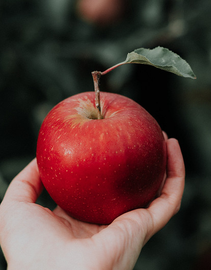 Яблочный Спас: когда отмечают в 2023 году, что можно и нельзя делать в этот день