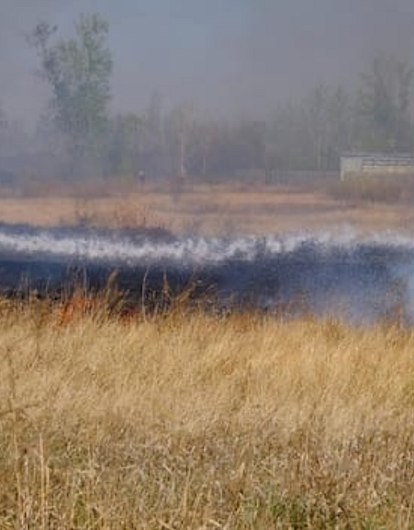 Чиновник из Ростовской области случайно сжег музей