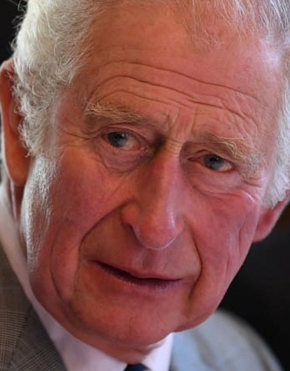 У Карла III обнаружился «внебрачный сын»