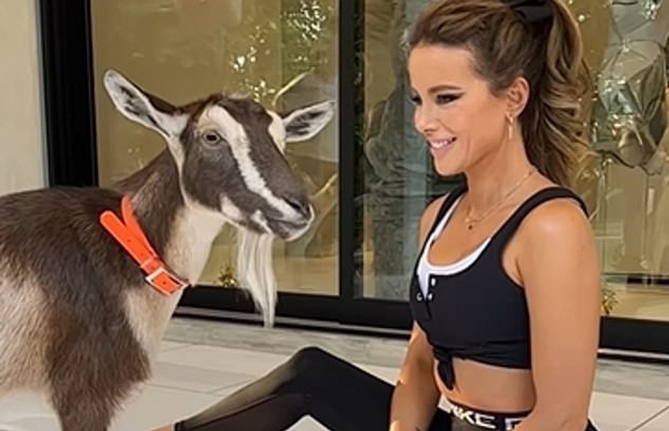 Йога с козами: что нужно знать о популярном у звезд фитнес-направлении