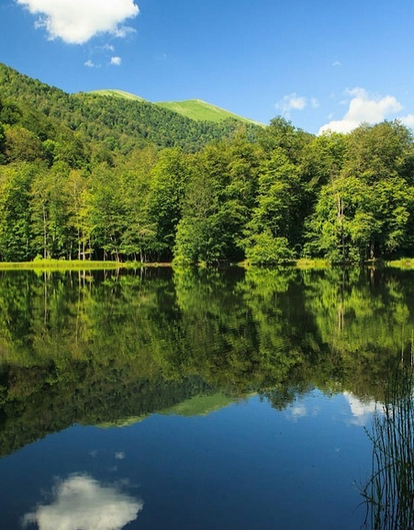 Пять человек погибли в Приморье из-за непогоды