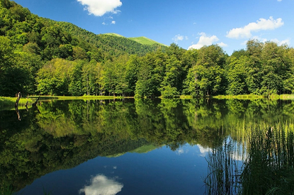 Пять человек погибли в Приморье из-за непогоды